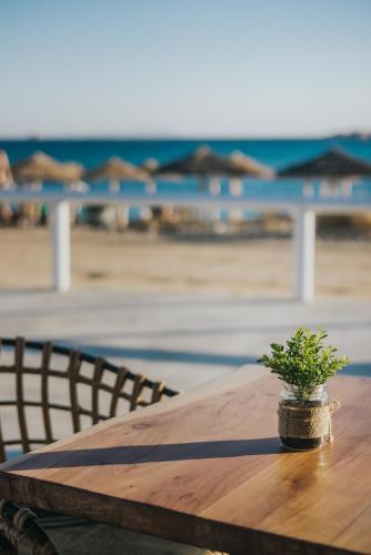 a wooden table with a potted plant sitting on top at Aegean Palace in Plaka