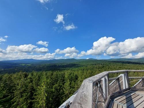 a view of the forest from the top of a tower at Pension Kilger in Mauth