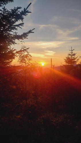 a sunset in a field with trees in the foreground at Pension Kilger in Mauth