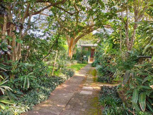 a path through a garden with trees and a house at St Lucia Wilds in St Lucia