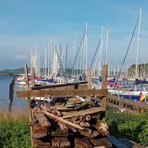 a wooden dock with many boats in a marina at Über den Dächern von Flensburg Mürwiker Strasse 187 in Flensburg