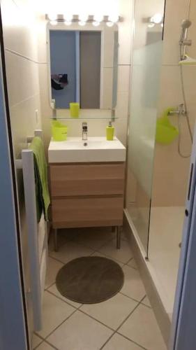 une salle de bain avec un lavabo et une douche avec un miroir dans l'établissement Chez Virginie et Laurent, au Lavandou