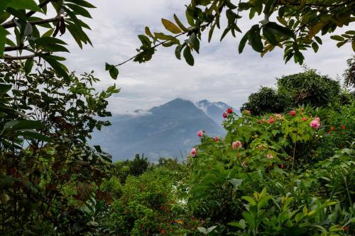 a view of a mountain from a garden with flowers at The Famous Farm in Nawākot