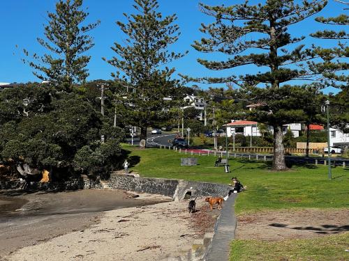 a person and two dogs walking on the beach at Waiake Beach Apartments in Auckland