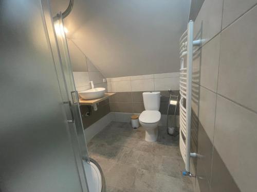 a small bathroom with a toilet and a sink at Ubytko u dědka in Lhotka