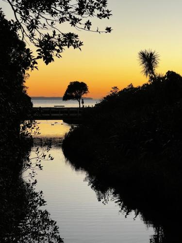 a tree sitting next to a river at sunset at Waiake Beach Apartments in Auckland
