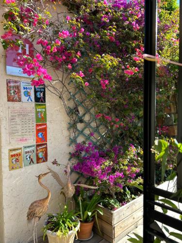 a bunch of flowers on the side of a wall at Hôtel Auberge Provençale in Saint-Raphaël