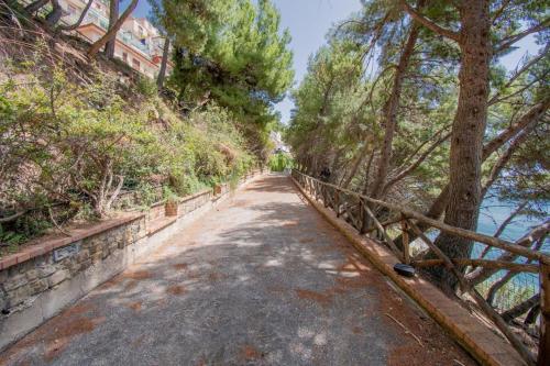 een brug over een weg met bomen en water bij Acciaroli parco baia dei pini lotto a piccola in Acciaroli