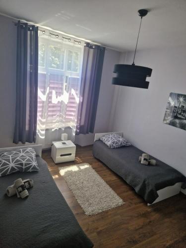 Posteľ alebo postele v izbe v ubytovaní Apartamenty Rynek Azyl