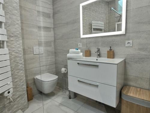 une salle de bain avec toilettes, lavabo et miroir dans l'établissement Le Lautrec - Vue Cathédrale - Centre-Ville, à Albi