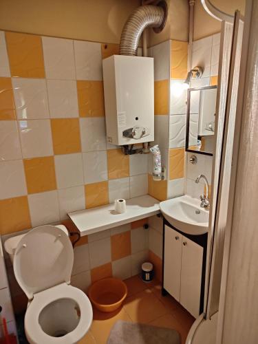 Un baño pequeño con inodoro y lavabo. en Całe mieszkanie 2 pokojowe na wyłączność centrum Częstochowy, bardzo blisko Jasnej Góry, 2 duże łóżka, en Częstochowa