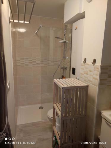 une salle de bain avec douche et toilettes dans l'établissement Studio Bord de Mer, à Hyères