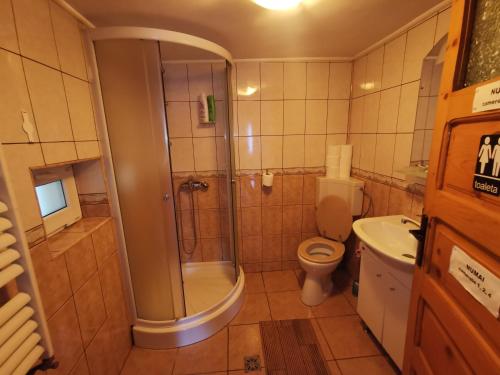 Un baño con ducha, inodoro y lavabo. en Nona Highland Home, en Moieciu de Jos