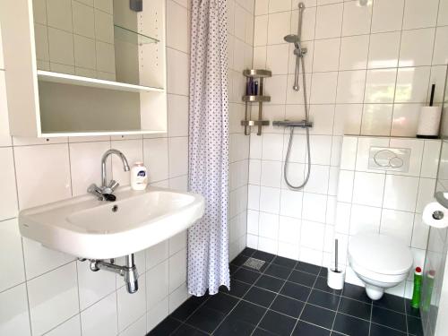 a bathroom with a sink and a toilet at Huisje De Deining in Ermelo