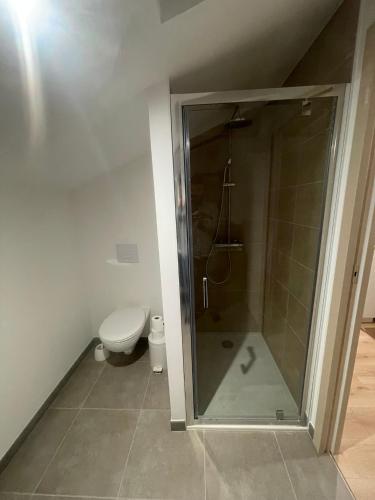 a bathroom with a shower and a toilet at Location d un logement de 70m2 et de 2 CH chez l habitant in La Roche-sur-Yon
