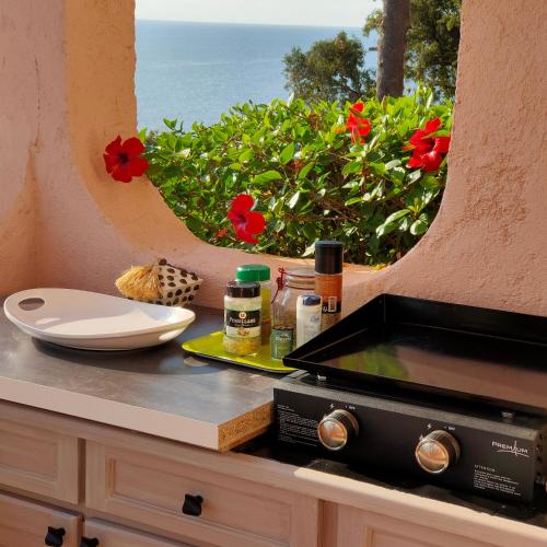 un comptoir avec un évier et une vue sur l'océan dans l'établissement Studio vue sur Mer, à Conca