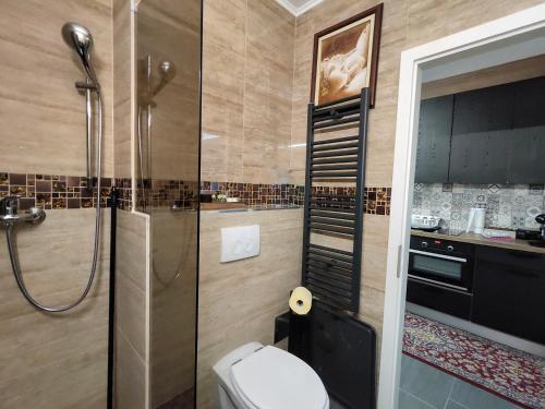 a bathroom with a shower and a toilet in it at Familienapartment mit Pool, Spa und Panoramablick in Zirkitz