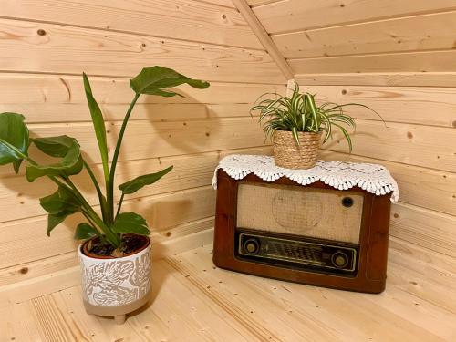 une petite radio et une installation en pot sur une table dans l'établissement Chatka Dziadka Sudety, à Stary Gieraltow