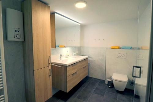 ein Bad mit einem Waschbecken und einem WC in der Unterkunft Haus Sonnentau in Monschau