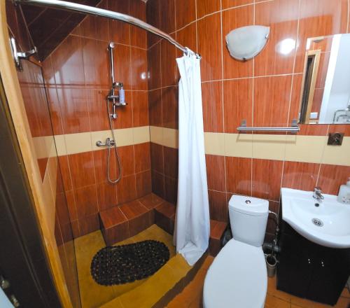 a bathroom with a shower and a toilet and a sink at Oliwkowe Jerzykowo in Radzieje