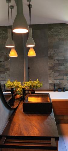 a room with a table with potted plants and lights at Cieślówka in Leżajsk