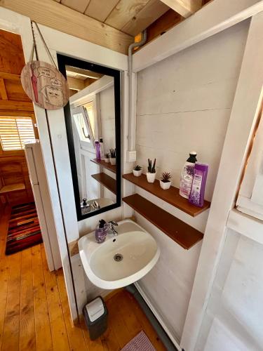 a bathroom with a sink and a mirror at Lavanda 1 in Privlaka