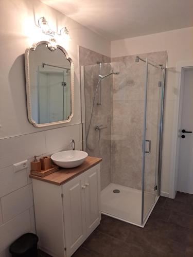 a bathroom with a sink and a shower with a mirror at Haus am Schloss in Bleiburg