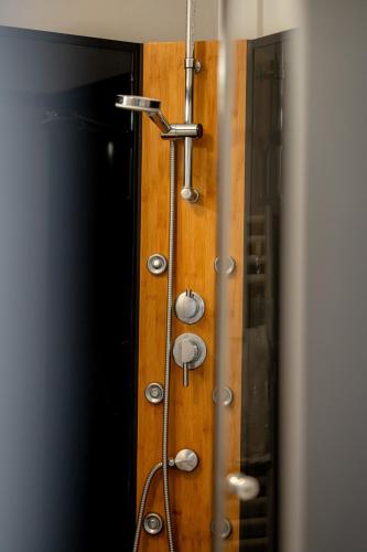 une douche dans une salle de bain avec un mur en bois dans l'établissement Villa Vichéia - Appartement 3, à Vichy