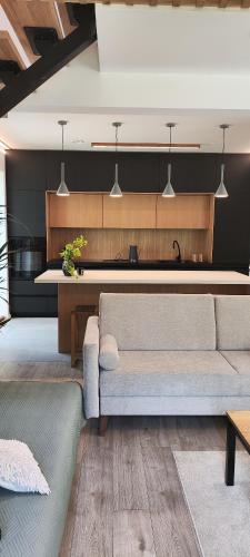 a living room with a couch and a kitchen at Cieślówka in Leżajsk
