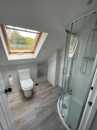 a bathroom with a toilet and a glass shower at The Stable, Grove End Farm in Petworth