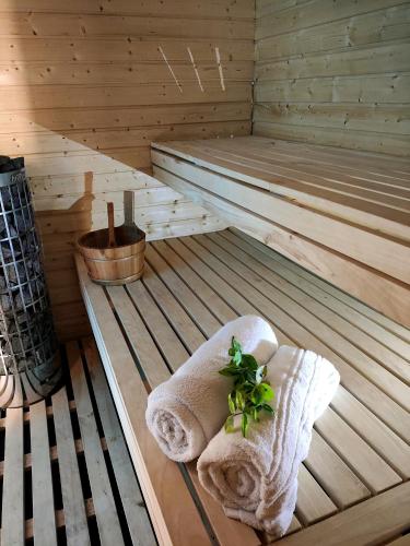 a sauna with a towel and a plant on it at Cieślówka in Leżajsk