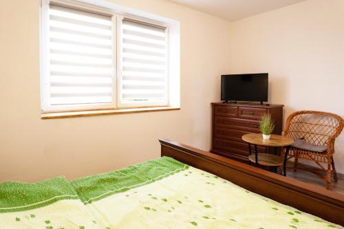 a bedroom with a bed and a tv and a window at Domek na wzgórzu in Sosnowice