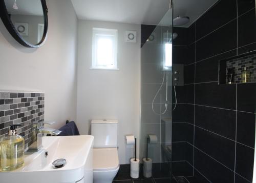 une salle de bain avec toilettes, lavabo et douche dans l'établissement Ascot Lodge, à Ibstock