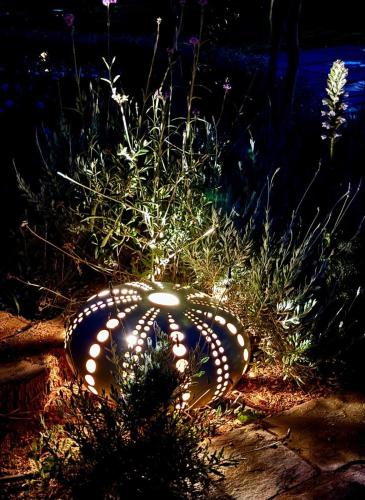a plant with lights in a garden at night at Villa-Agave , by the sea in Porto-Rafti outside Athens in Porto Rafti