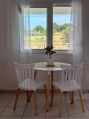 a table and two chairs with a potted plant on it at LefCoast AURA Apartments in Paralía Avdhíron