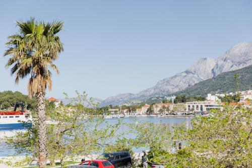 a palm tree in front of a body of water at Makarska City Bay Studios in Makarska