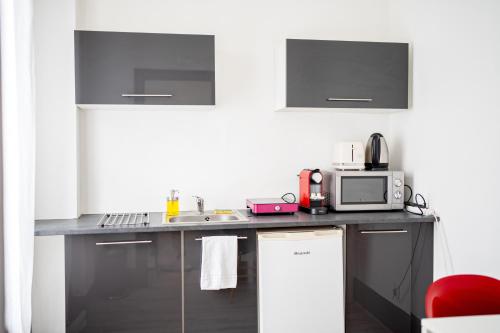 une cuisine avec un évier et un micro-ondes dans l'établissement Villa Vichéia - Appartement 23, à Vichy