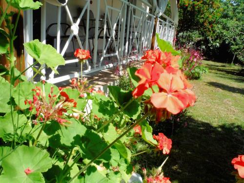 Jardin de l'établissement Port Rooms Pet Friendly