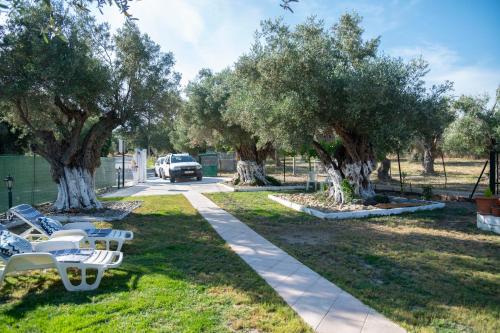 a row of trees with white benches in a park at Dimitra's Apartment in Mákri