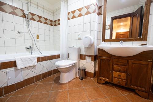 a bathroom with a toilet and a sink and a tub at Casa del Sole Boutique Hotel Timisoara in Timişoara