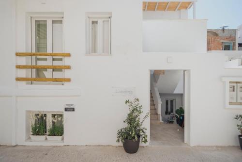 a white building with a potted plant in front of it at Golden Bird's in Naxos Chora