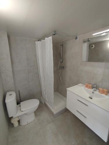 une salle de bain avec toilettes, douche et lavabo dans l'établissement Studio mezzanine, à Cannes