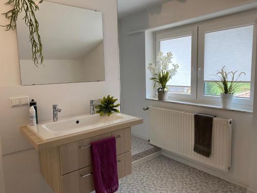 a bathroom with a sink and a window at Ferienwohnung Ebersburg in Rabennest