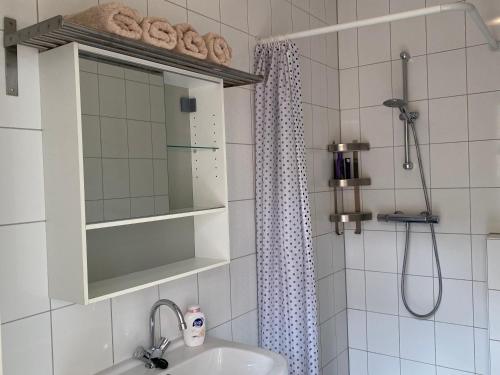 a bathroom with a sink and a mirror and a shower at Huisje De Deining in Ermelo