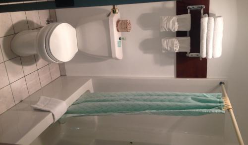 a bathroom with a tub with a green towel at Black Canyon Motel in Montrose