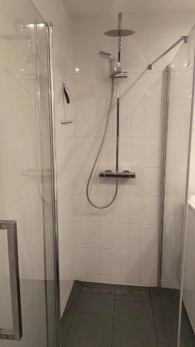グダニスクにあるMieszkanie w Gdańskuのバスルーム(ガラスドア付きのシャワー付)