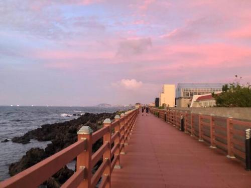 a boardwalk leading to the ocean on a beach at tree house in Jeju