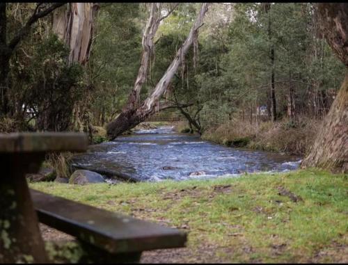 a bench sitting in front of a stream with a river at Sawmill Chalet - Located base of Mt Buller in Merrijig