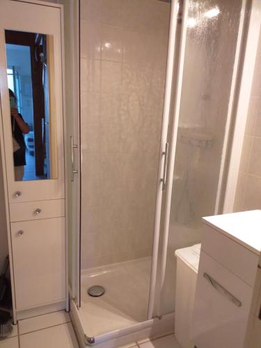 une douche avec une porte vitrée dans une salle de bain dans l'établissement La cigogne, à La Tremblade