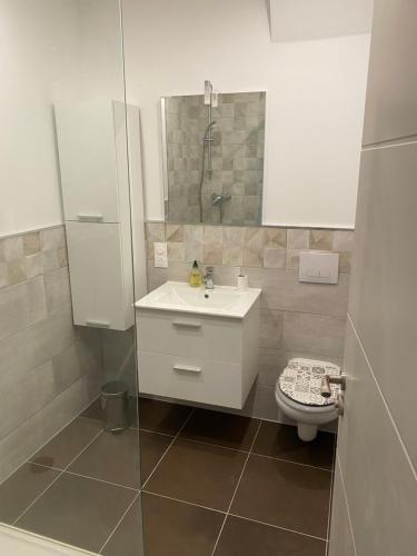 une salle de bain avec un lavabo, des toilettes et une douche dans l'établissement Appartement climatisé SETE - Rue MONTMORENCY, à Sète